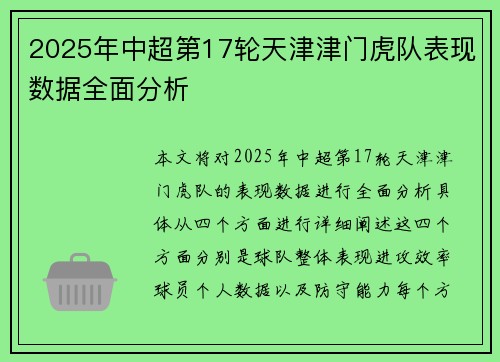 2025年中超第17轮天津津门虎队表现数据全面分析