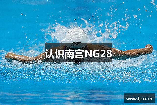 认识南宫NG28